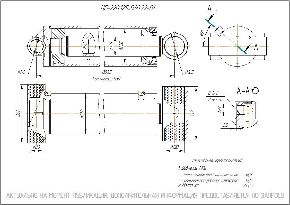 ЦГ-220.125х980.22-01 Гидроцилиндр